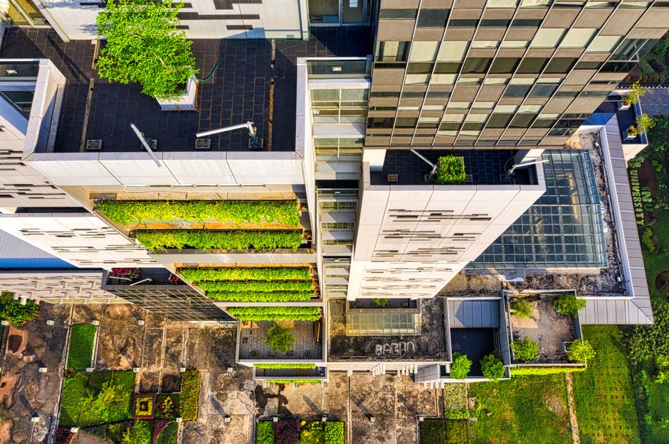 A commercial building with a green roof covered in plants and grasses under a partly cloudy sky.